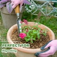 thumbnail image 3 of Haliaeetus Seeding Widger, Stainless Steel Garden Planting Trowel for Repotting, Long and Narrow Widger for Weeding from Tight Areas, Hand Transplanter with Wood Handle for Planting, Weeding, Digging, 3 of 4