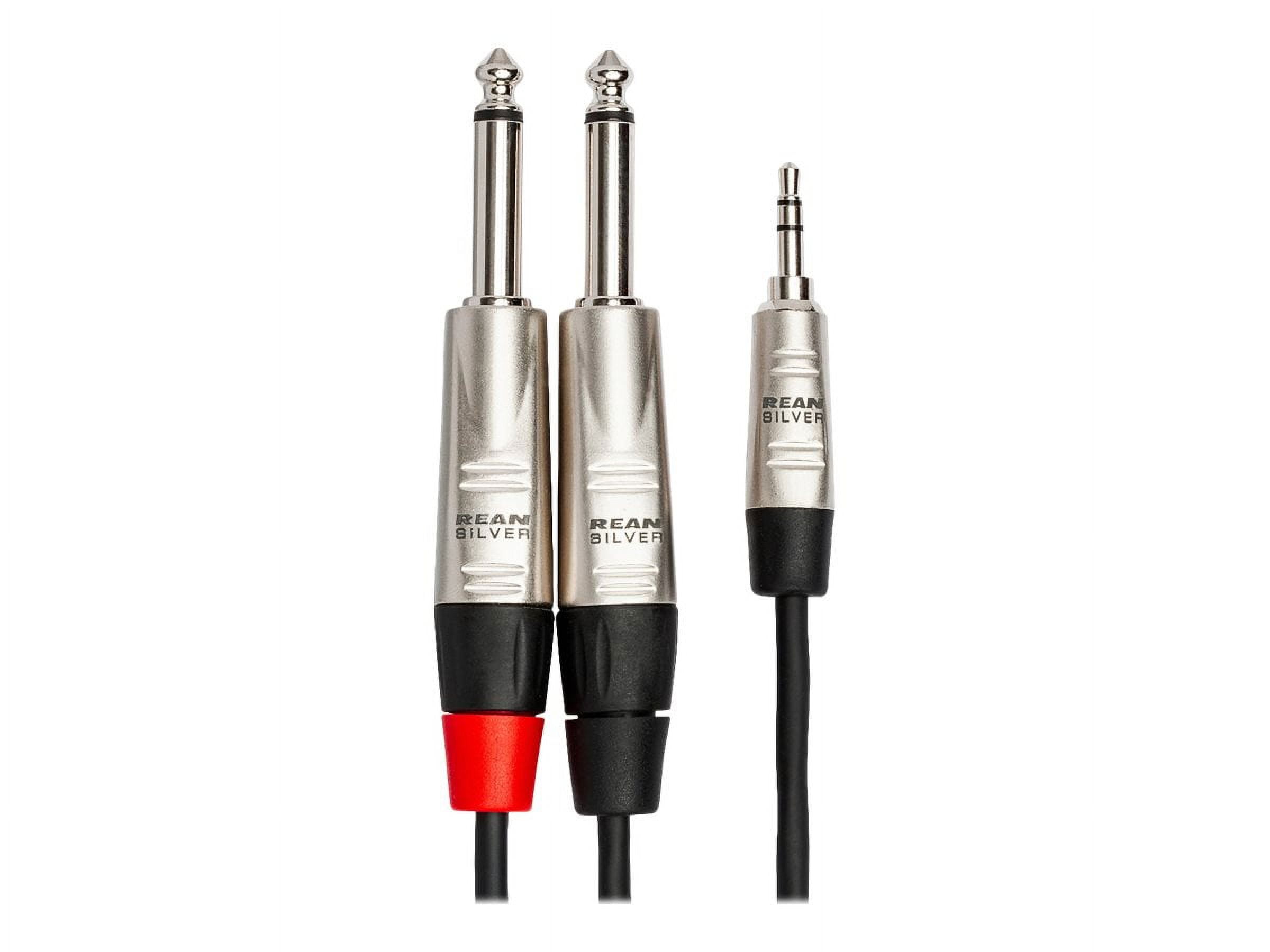 Hosa Technology Pro 10' Stereo Breakout, REAN 3.5mm TRS to Dual 1/4" TS