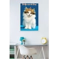 thumbnail image 2 of Keith Kimberlin - Kitten - Queen Wall Poster, 22.375" x 34", Framed, 2 of 2
