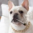 thumbnail image 2 of Accesorios para perros Cadena 1 Collar metálico chapado en oro para perros pequeños y medianos Collar de estilo punk, 2 of 6