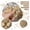 Light Brown, variant on 2026 New Simulated Cute 1 Realistic Wooden Block Balls, Super Soft ,Mystery ,Stress Relief for Everyone Anxiety Relief,2.36inch.