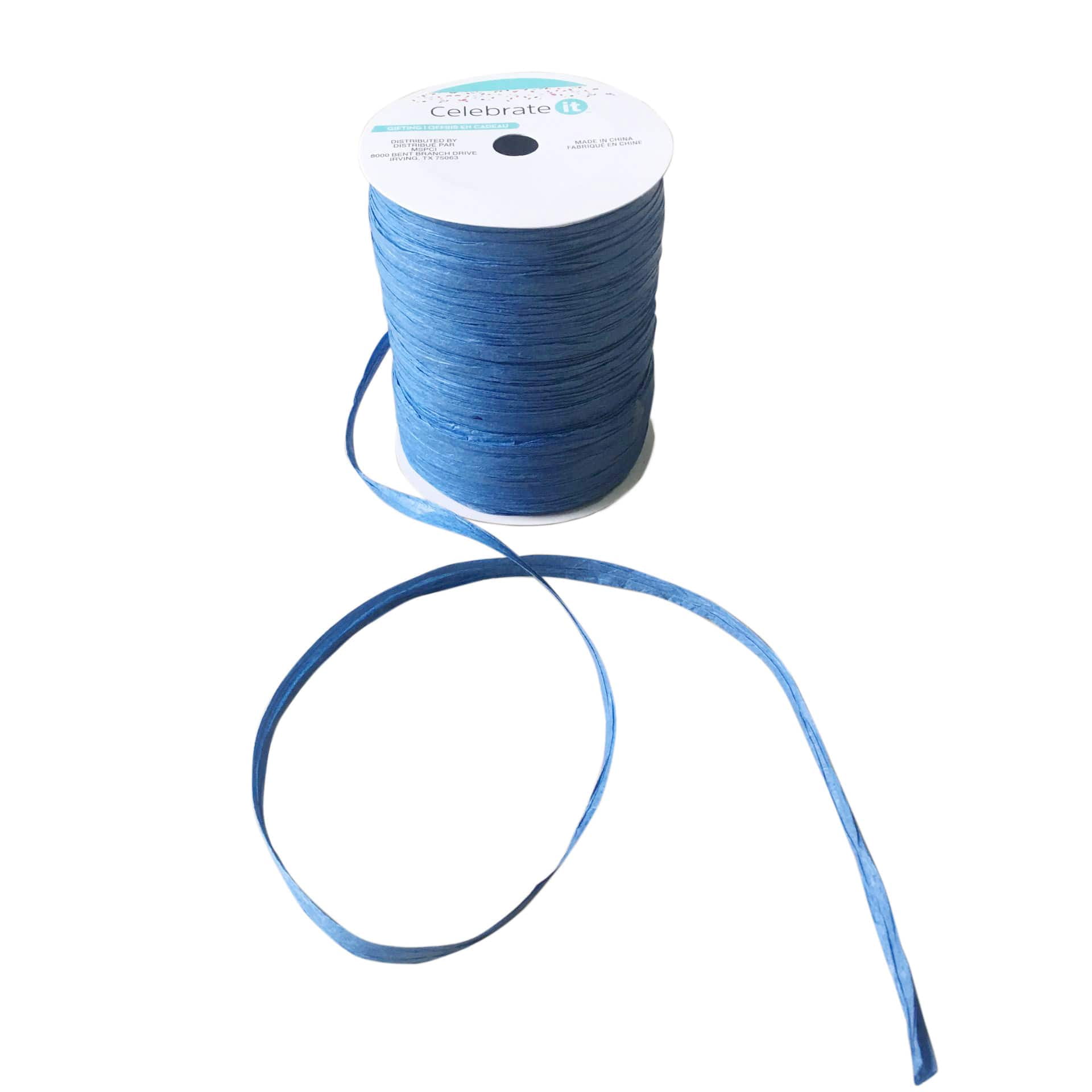 Celebrate best sale it raffia