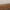 Beige, variant on Women's Casual Loafers Slip On Leather Shoes Lightweight Casual Walking Shoes Female Moccasins Classic Penny Loafer Flats Boat Shoes