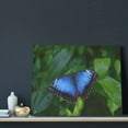 thumbnail image 3 of Zufioo Blue Morpho butterfly Print Canvas Decorative Painting with Solid Wood Frame Art Decoration, Suitable for Home and Office Wall Decoration, 3 of 6