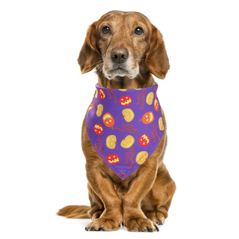 neckerchief bibs