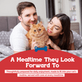 thumbnail image 6 of Beefeaters Chicken with Tuna Pate Wet Cat Food 5.5oz (24-Pack) | Adult Wet Food with Taurine, Premium Catfood Wet Food, No Artificial  Additives, Balanced Nutrition | Supports Immune System & Vision, 6 of 7
