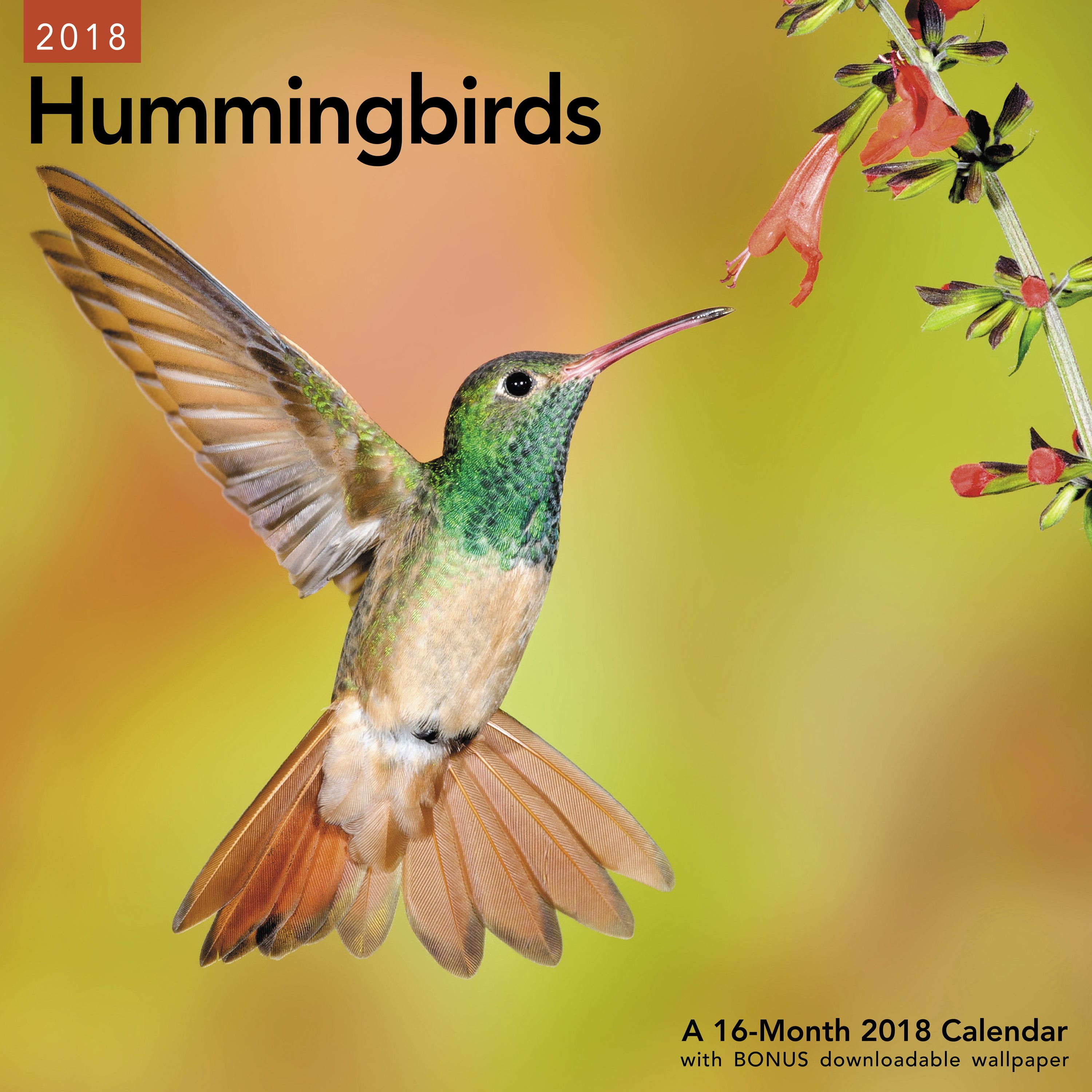 2018 Mead Hummingbirds Wall Calendar