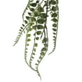 thumbnail image 2 of Green Fern Leaf Spray by Ashland, 2 of 2
