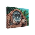 thumbnail image 2 of Trademark Fine Art 'Jungle Monkey I' Canvas Art by Carolee Vitaletti, 2 of 4
