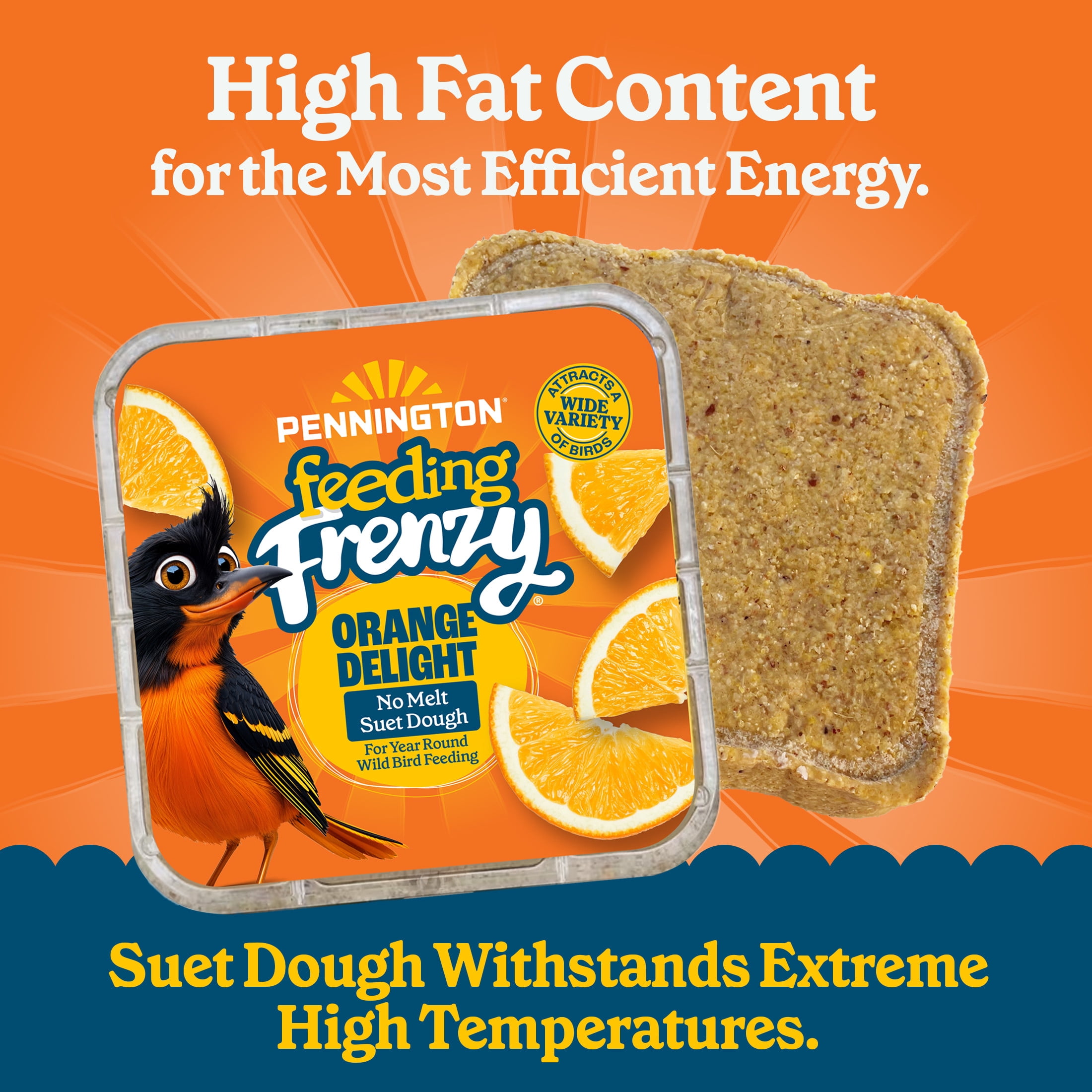 Pennington Feeding Frenzy Orange Delight Suet, 11.75 oz Cake, Wild Bird Food, Suet Cakes for Wild Birds, 1 Pack, Fresh