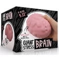 thumbnail image 5 of giant 5.11" stress brain, stress reliever , sensory squish ball, 5 of 5