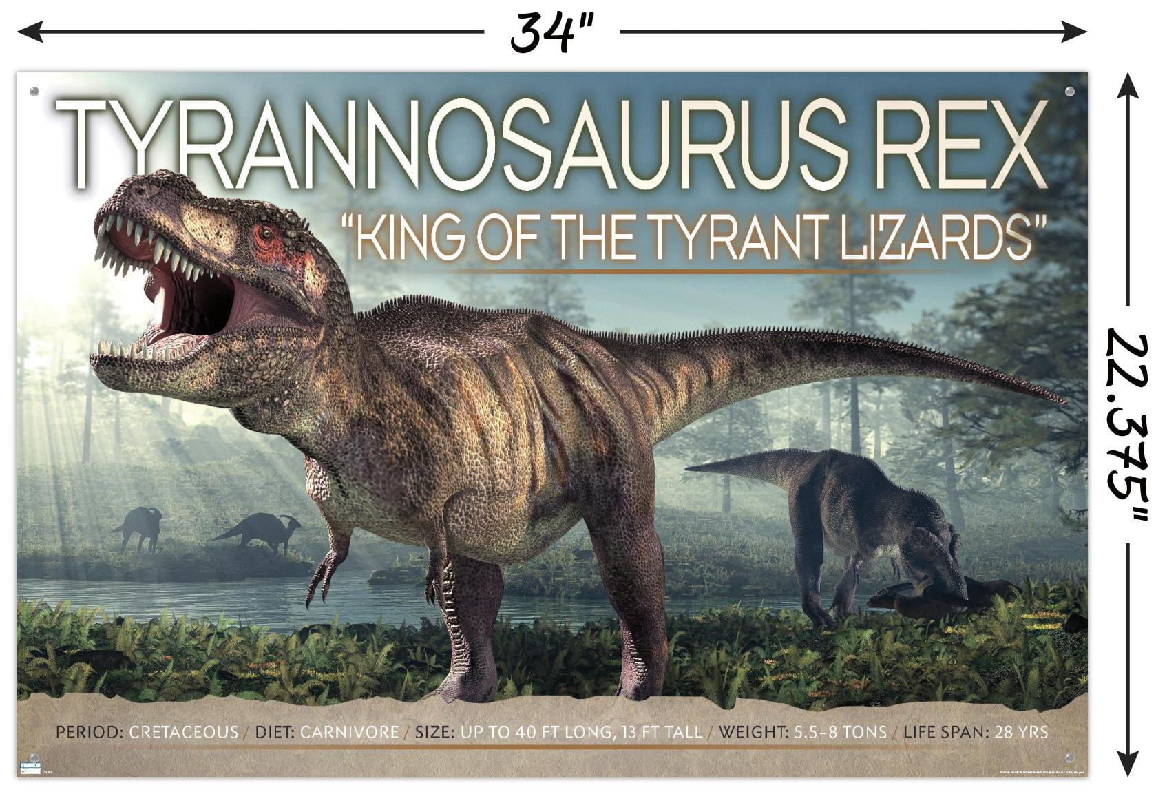 Dinosaurs - T-Rex Wall Poster with Push Pins, 22.375" x 34"