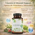 thumbnail image 3 of Kidney(Riñones)& Bladder Wellness Support–100% Natural Supplement W/Chanca Piedra, Horsetail & Cranberry Supplement,Magnesium & Vitamins B6, B12, C & D–Botanical & Mineral Herbal Blend–by BexpertsUSA, 3 of 9