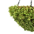 thumbnail image 3 of Vickerman 12'' Artificial Green Mini Leaves Hanging Basket., 3 of 6