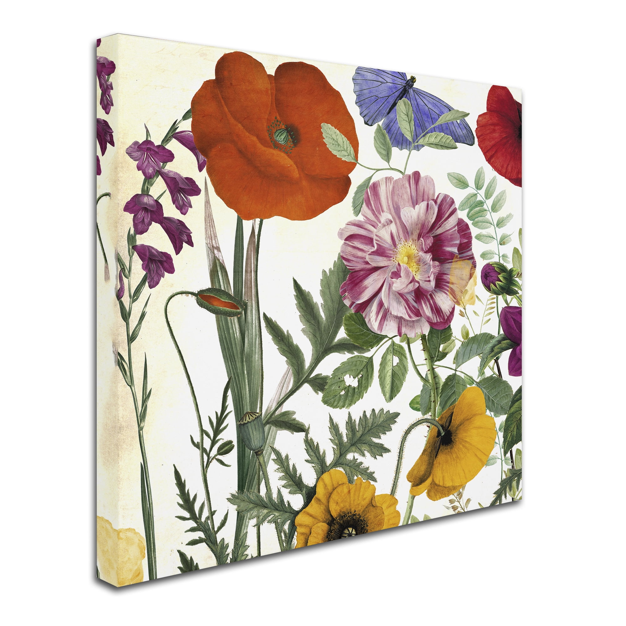 Trademark Fine Art "Printemps II" Canvas Art by Color Bakery