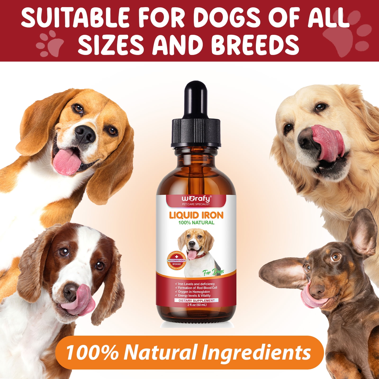 Petpya Iron Supplement for Dogs 3PC with B12 & Folate – Promotes Red Blood Cells, Fights Fatigue & Supports Recovery Dog Appetite Booster 60ml