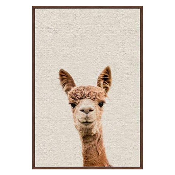 Marmont Hill Llama Face VI Floater Framed Painting Print on Canvas
