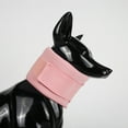 thumbnail image 5 of Pet Recovery Collar for Cats Prevent Wound Licking Dog Cats Neck Collar After Surgeries NeckProtecor for Surgical Wound, 5 of 8