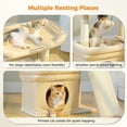thumbnail image 5 of PEQULTI Small Cat Tree Tower for Indoor Cats Scratcher with Top Perch and Private Cat Condo Beige, 5 of 7