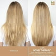 thumbnail image 2 of Biolage Bond Therapy Shampoo & Conditioner Set by Matrix 33.8 oz ea, 2 of 5