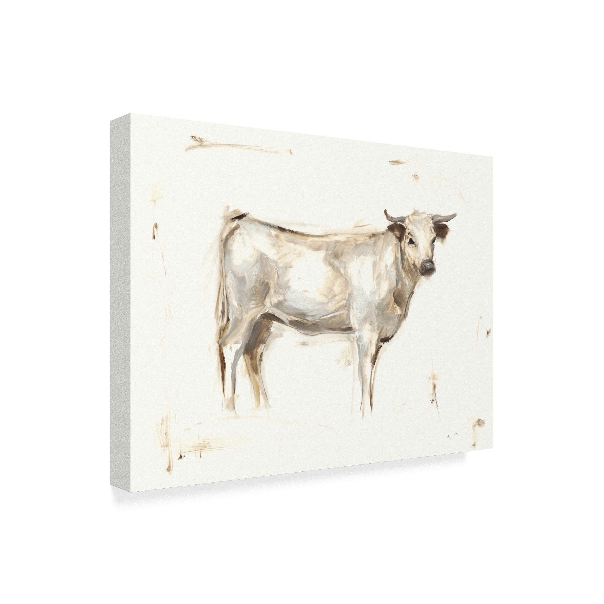 Trademark Fine Art 'White Cattle I' Canvas Art by Ethan Harper