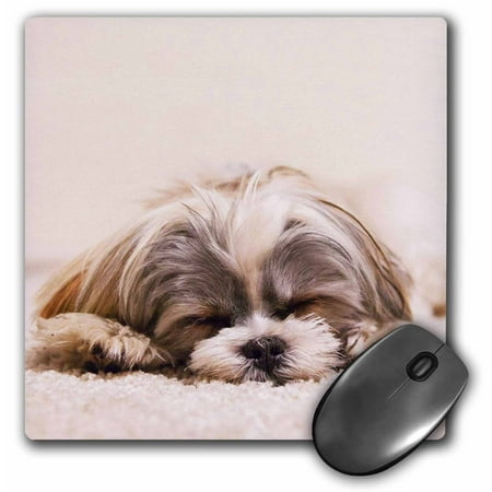 3dRose Shih Tzu. Sleeping. Best friend. - Mouse Pad, 8 by