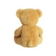 thumbnail image 2 of Oso de Peluche de Felpa Aurora XOXO Besos y Abrazos, 2 of 4