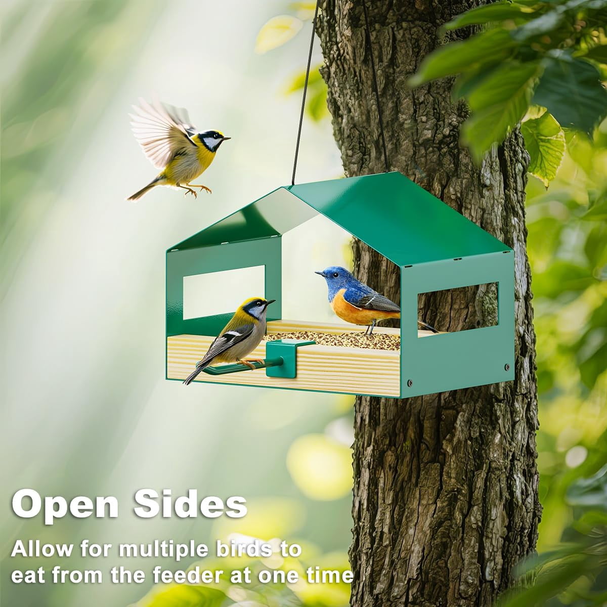FANHAO Metal Bird Feeder for Outdoors Hanging, Wild Bird Feeder with Rust-Resistant Mesh, Weatherproof