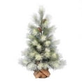 thumbnail image 1 of Vickerman D182230 Base de Toile de Jute de Pin Givrée Norfolk 36 Po, 1 of 3