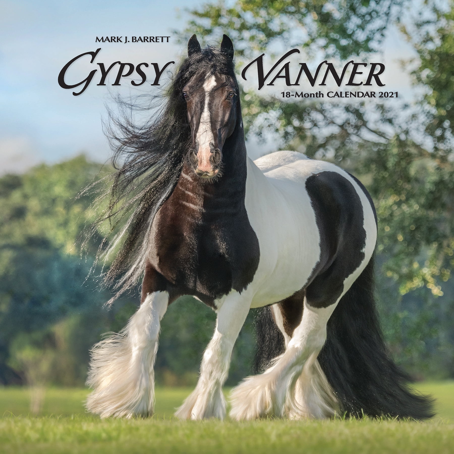 Willow Creek Press 2021 Gypsy Vanner Horse Wall Calendar