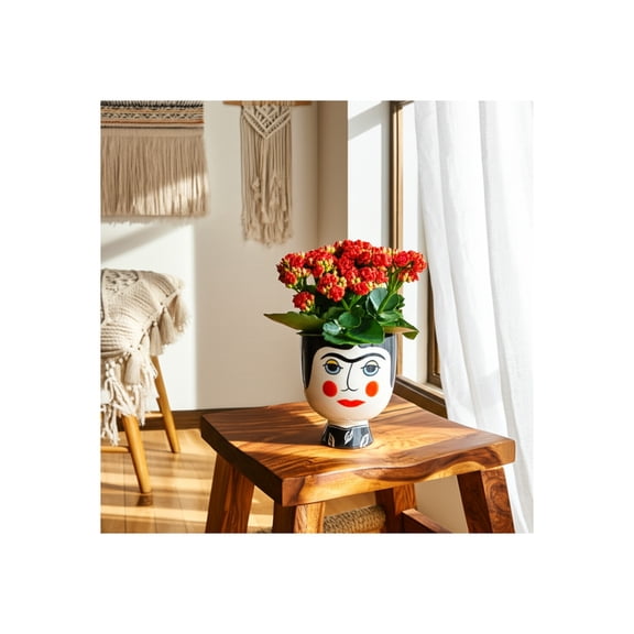 Decorative Flower Pot for Home Decor Planter - Artistic Indoor and Outdoor Plant Pot for Shelf Accent and Living Room Decor - Planter for Garden, Patio, or Plant Stand Indoor - 7", Black & White