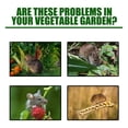 thumbnail image 5 of 20pcs Rat Repellent for House Repel Mice and Rats Rodent Control, 5 of 7
