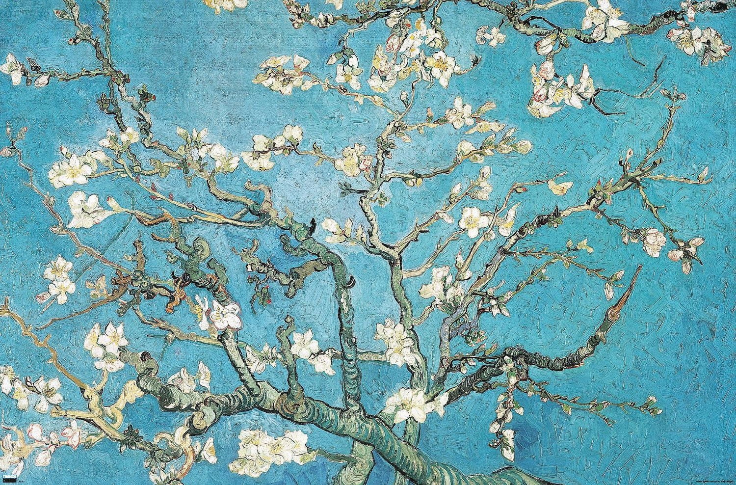 Branches d'amandier en fleurs de Vincent van Gogh