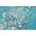 thumbnail image 1 of Branches d'amandier en fleurs de Vincent van Gogh, 1 of 4