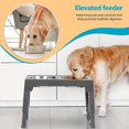 thumbnail image 4 of Adjustable Elevated Dog Bowls For Small, Medium, And Large Dogs - Includes 2 Stainless, 4 of 8