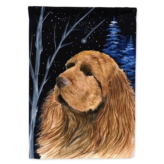 Carolines Treasures SS8391-FLAG-PARENT Starry Night Sussex Spaniel Flag multicolor
