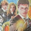 Harry Potter 'Order of the Phoenix' Lunch Napkins (16ct)
