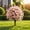 Pink, variant on Nsxcdh Artificial Flowers Waterproof Artificial Flowers for Outdoors Faux Garden Plants for Porch Patio Yard Home Decor Summer Spring Lifelike UV Resistant Container Garden Art