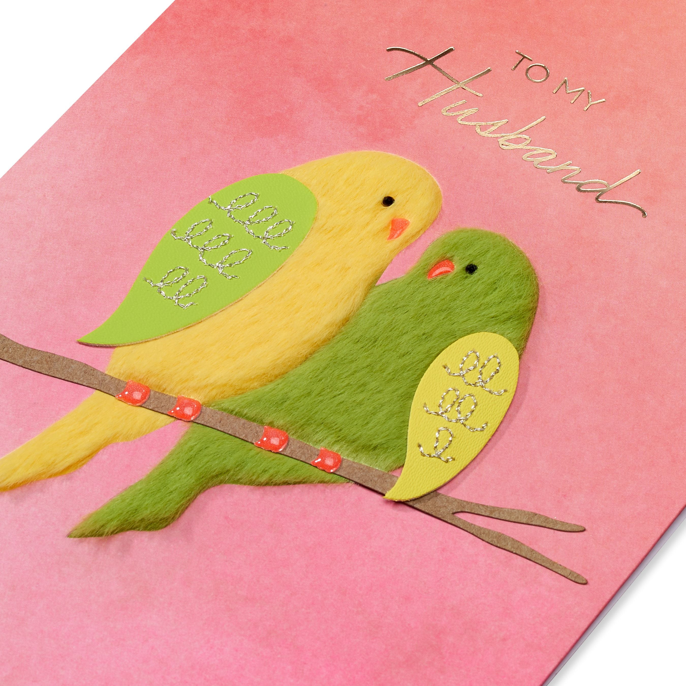 American Greetings Valentine's Day Card for Husband (Parakeet Couple)