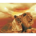 thumbnail image 1 of Crystal Art Grand Kit Encadré - Lions de la Savane, 1 of 1