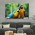thumbnail image 3 of TISHIRON 3PCS Framed Canvas Wall Art Set,42"x28" Macaw Kissing Canvas Art Decor, 3 of 6