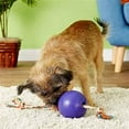 thumbnail image 6 of Jolly Pets Romp-N-Roll Ball, 6 of 7