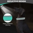 thumbnail image 4 of Collar para perros Joytale acolchado de neopreno ajustable para perros grandes, 4 of 5