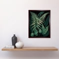 thumbnail image 2 of Ernst Haeckel Style Fern Fronds Botanical Detailed Art Print Framed Poster Wall Decor 12x16 inch, 2 of 5