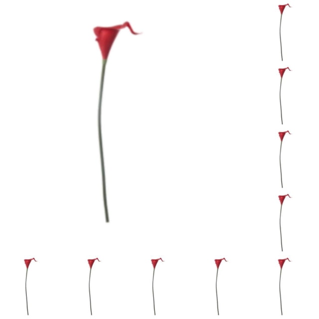 Bearachild Decoración de boda con cala simulada: elija una variedad de colores y estilos con alta plenitud 3D y simulación Durable PU Big Red Gran rojo 10piezas