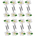 thumbnail image 1 of SHAR Crochets de Rideau de Douche Fleurs Blanches - Pack de 12, Métal et Résine, Anneaux en Acier Inoxydable pour Rideaux de Douche, 1 of 4