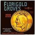 thumbnail image 3 of Anonymous 15x15 Black Modern Framed Museum Art Print Titled - Florigold Groves Citrus Label (1940s), 3 of 5