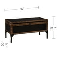 Charles Vintage Travel Trunk Coffee Table, Black and Bronze