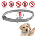 thumbnail image 4 of Collares antipulgas y garrapatas para perros, collar ajustable de protección de 8 meses para perros grandes, cachorros y gatos, accesorios para perros, 4 of 5