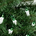 thumbnail image 3 of ZYLER- Northlight Set Of 50 Green Mini Christmas Lights 2.5" Spacing - White Wire, 3 of 3